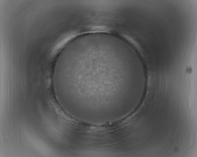 X0000113291407200909211052