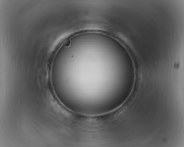 X0000113291408200909211052