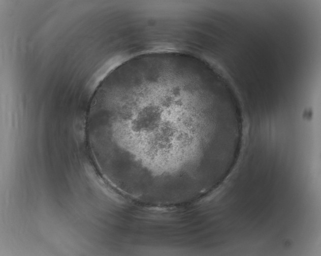 X0000113291409200909211053