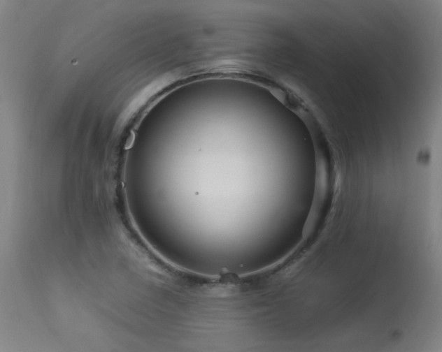 X0000113291410200909211053