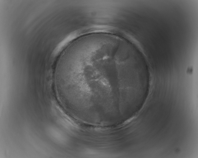 X0000113291411200909211053