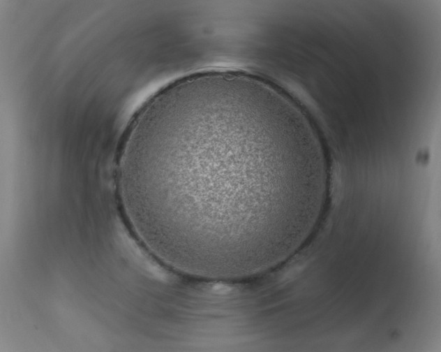 X0000113291412200909211053