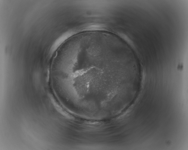 X0000113291413200909211053