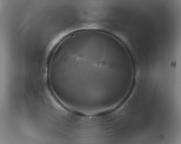 X0000113291414200909211053