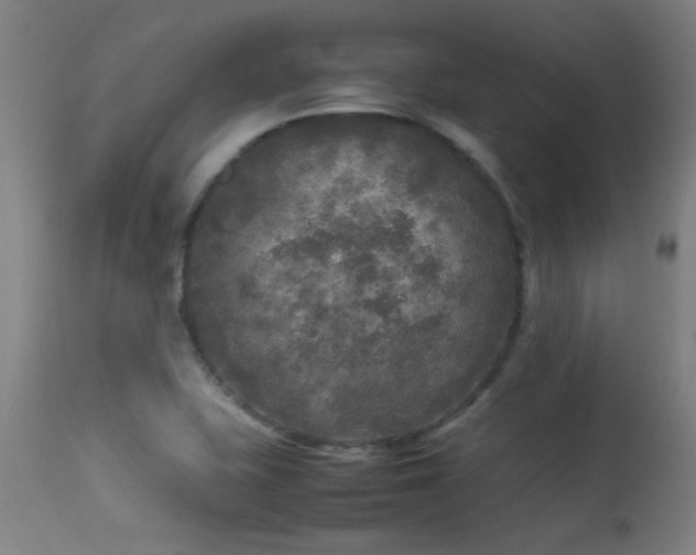 X0000113291415200909211053