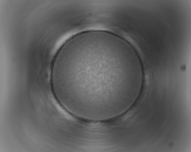 X0000113291416200909211053