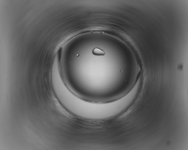 X0000113291417200909211053