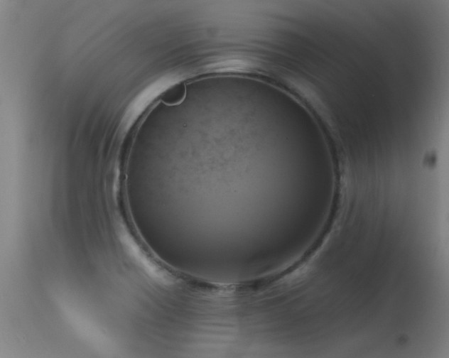 X0000113291418200909211053