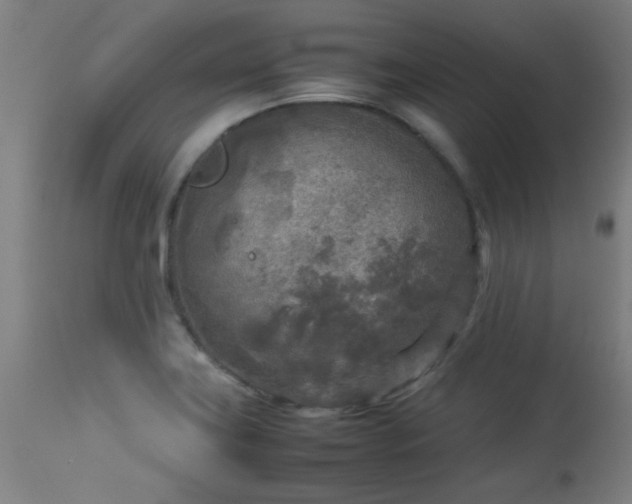 X0000113291419200909211053