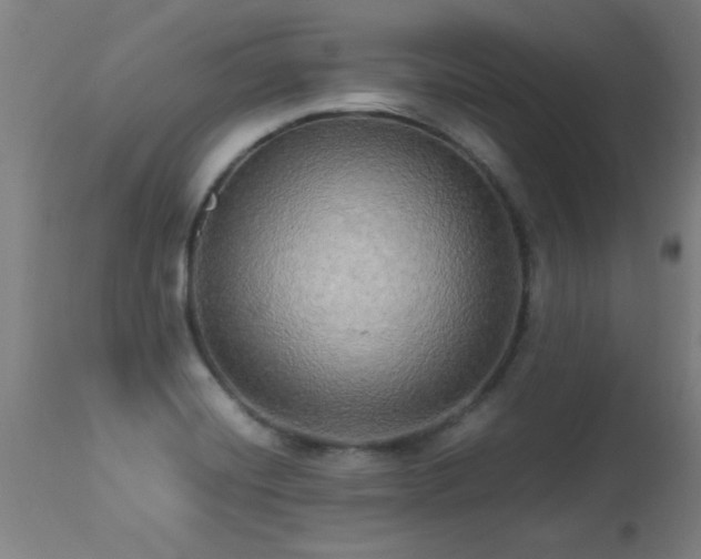 X0000113291420200909211053