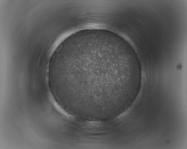 X0000113291421200909211053