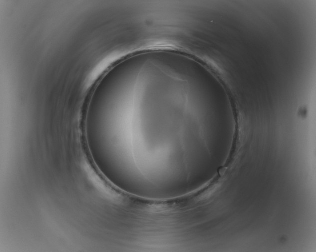 X0000113291422200909211053