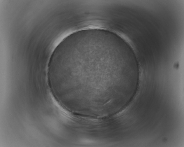 X0000113291423200909211053