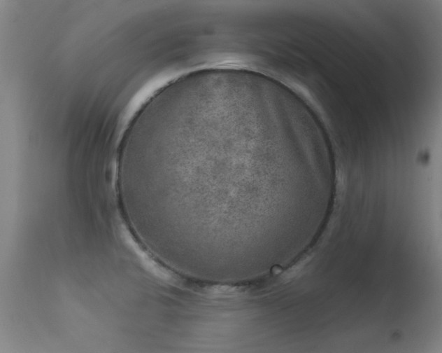 X0000113291424200909211053