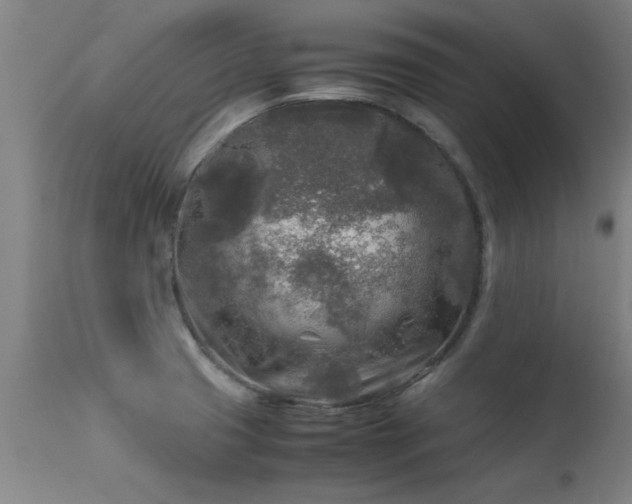 X0000113291425200909211053