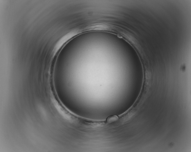 X0000113291426200909211053