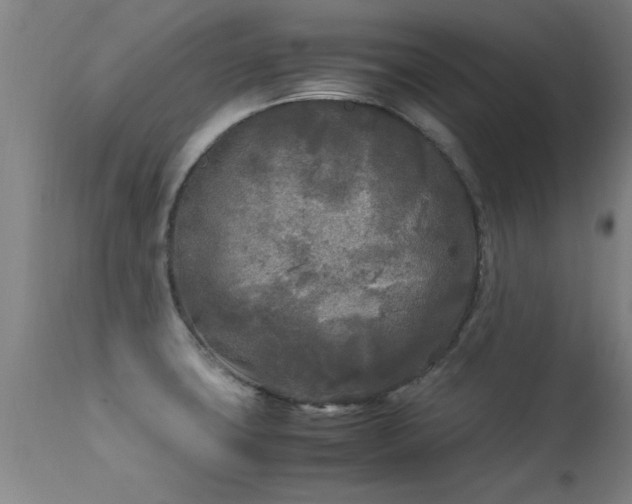 X0000113291427200909211053