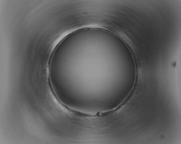 X0000113291428200909211053