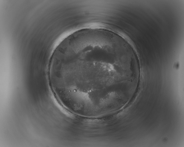 X0000113291429200909211053