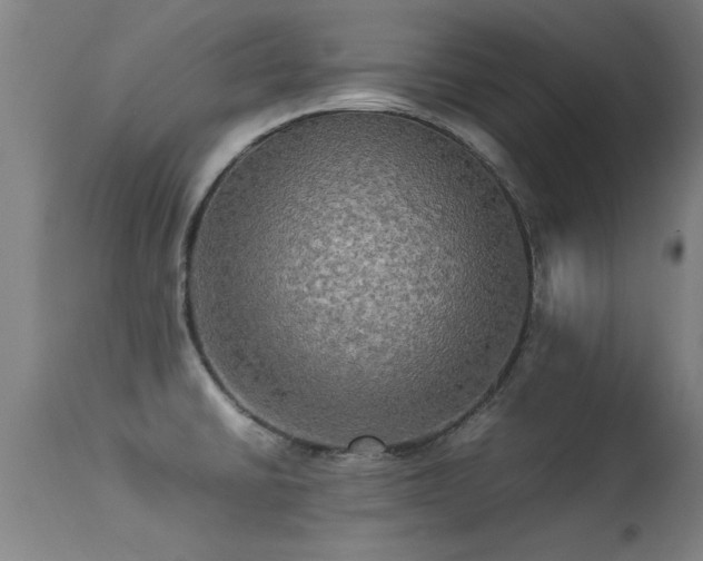 X0000113291430200909211053