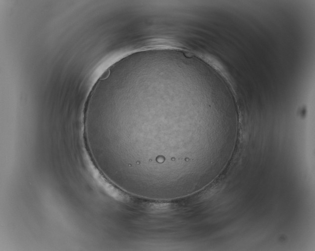 X0000113291431200909211053