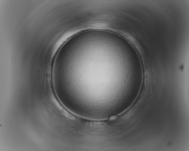 X0000113291432200909211053