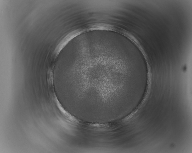 X0000113291433200909211053