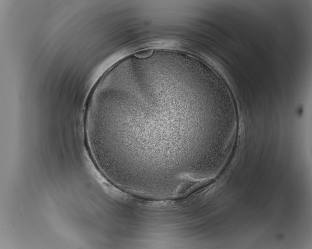 X0000113291434200909211053