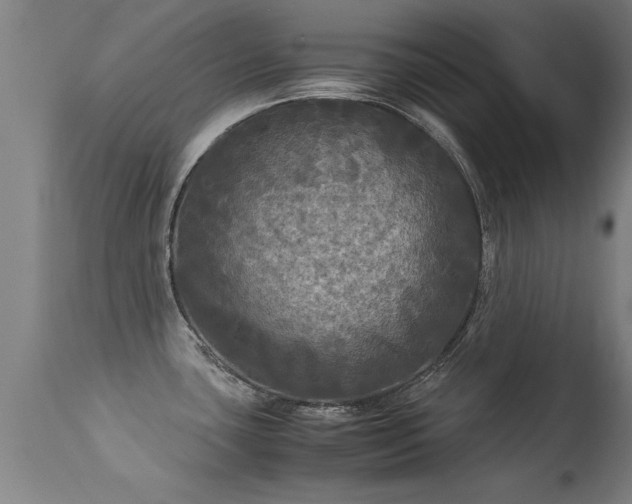 X0000113291435200909211053