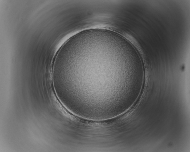 X0000113291436200909211053