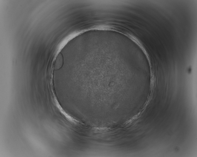 X0000113291437200909211053