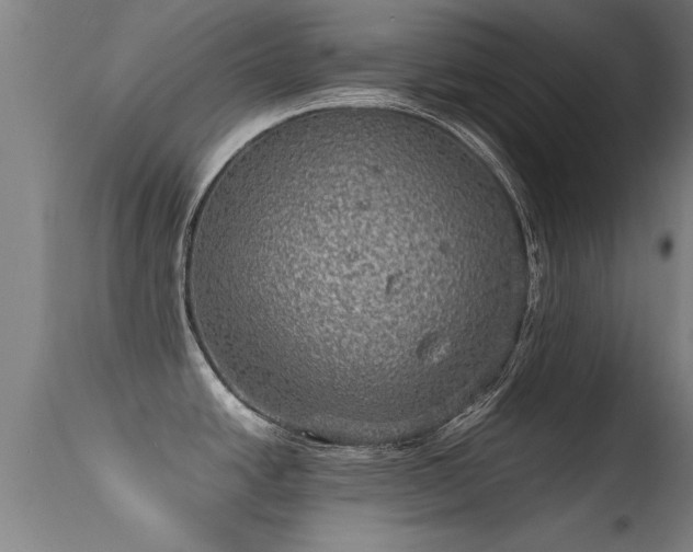 X0000113291438200909211053