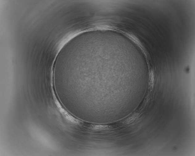 X0000113291439200909211053