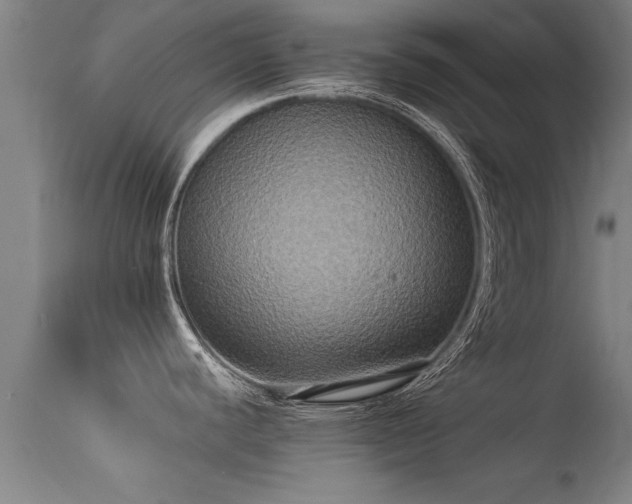 X0000113291440200909211053