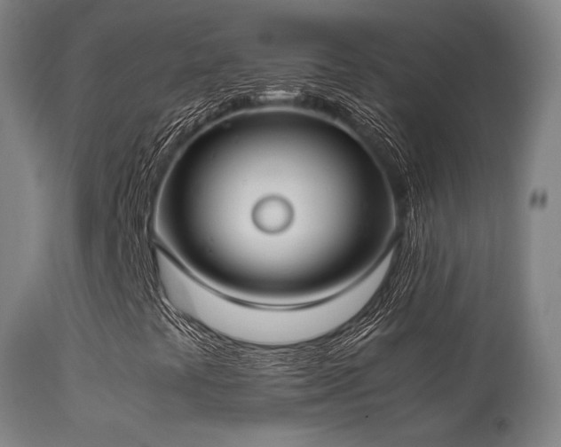 X0000113291441200909211052