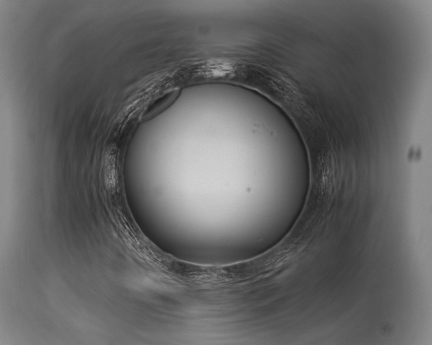 X0000113291442200909211052