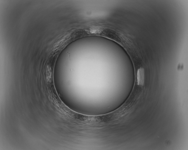 X0000113291443200909211052