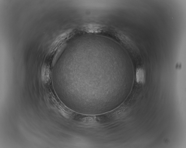 X0000113291444200909211052