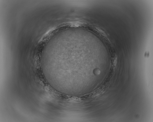 X0000113291446200909211052