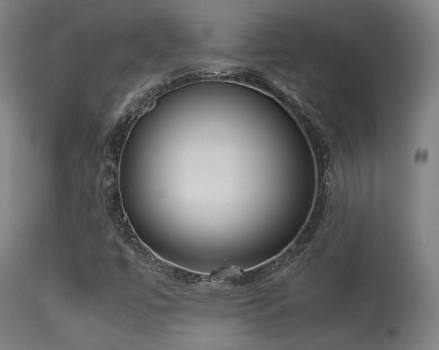 X0000113291447200909211052