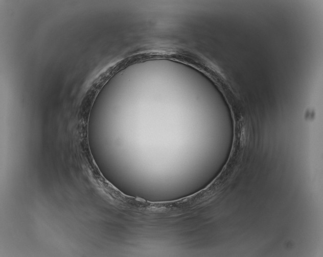 X0000113291448200909211052