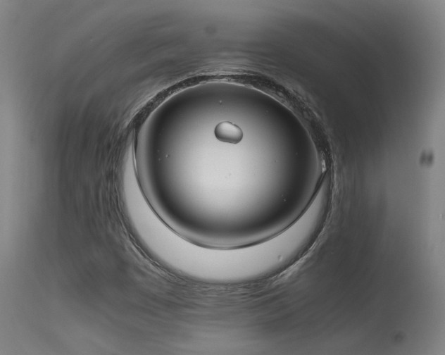 X0000113291449200909211052