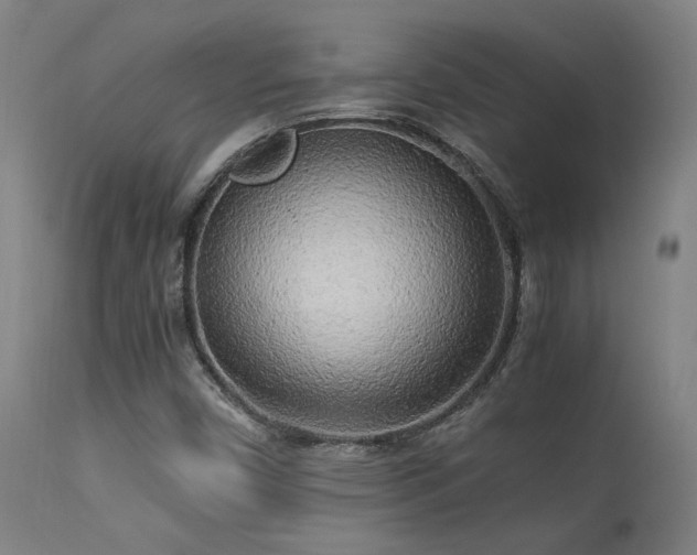 X0000113291450200909211052