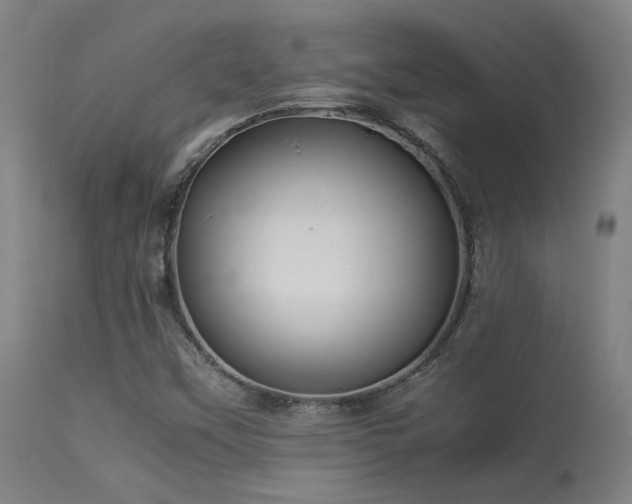 X0000113291451200909211052