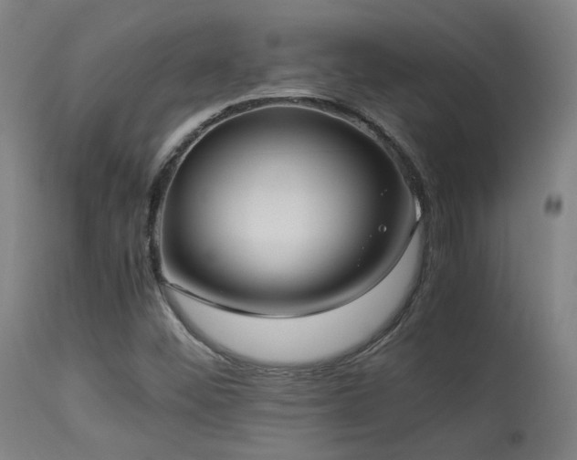 X0000113291452200909211052