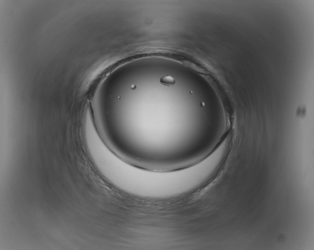 X0000113291453200909211052