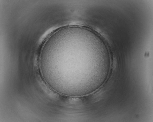 X0000113291454200909211052