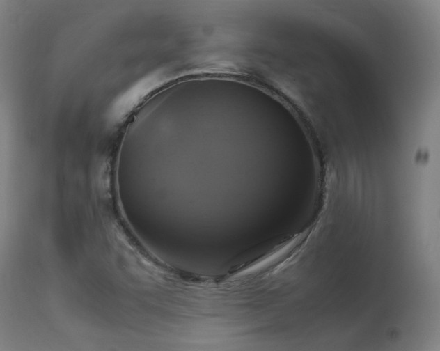 X0000113291455200909211052