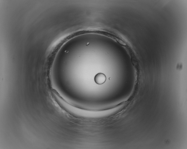 X0000113291456200909211052