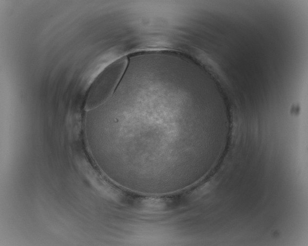 X0000113291457200909211052